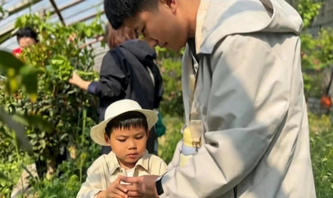 微信截图_20260423134221